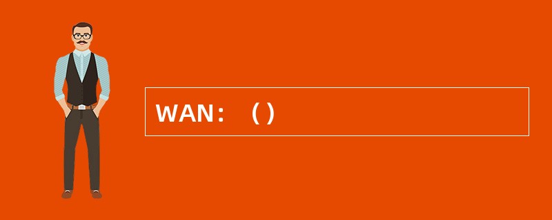 WAN：（）