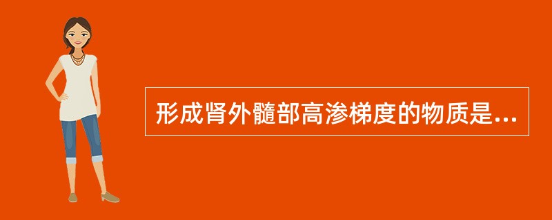 形成肾外髓部高渗梯度的物质是（）。