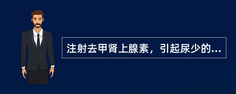 注射去甲肾上腺素，引起尿少的主要原因是（）。