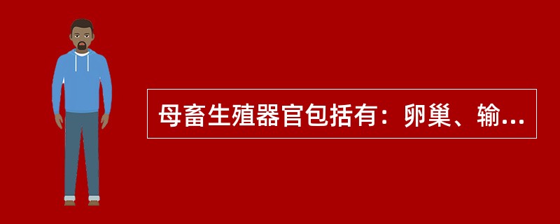 母畜生殖器官包括有：卵巢、输卵管、（）、（）和尿生殖前庭、阴唇、阴蒂。