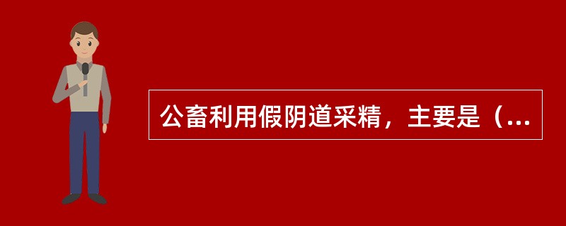 公畜利用假阴道采精，主要是（）刺激。