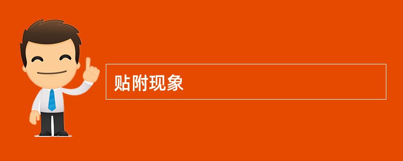 贴附现象