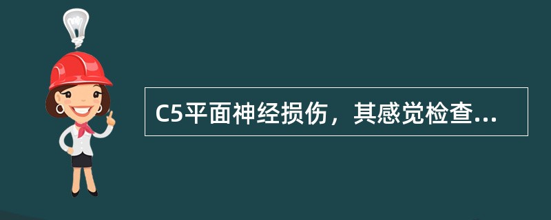 C5平面神经损伤，其感觉检查关键点位于（）