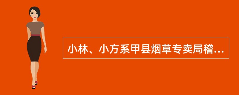 小林、小方系甲县烟草专卖局稽查一中队市场监管员，主要负责A片区的市场检查工作。2