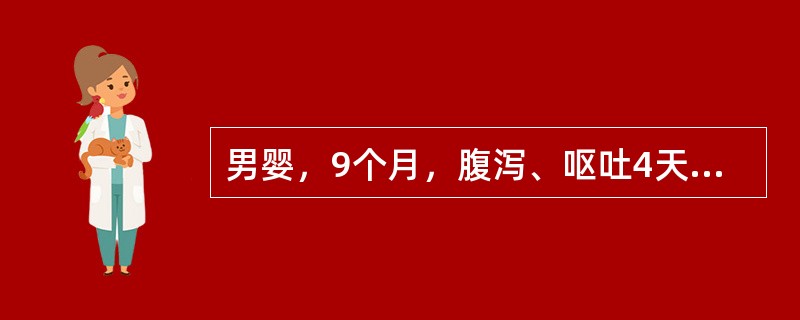 男婴，9个月，腹泻、呕吐4天，大便为蛋花汤样1天，伴明显口渴、尿少、精神不振。查