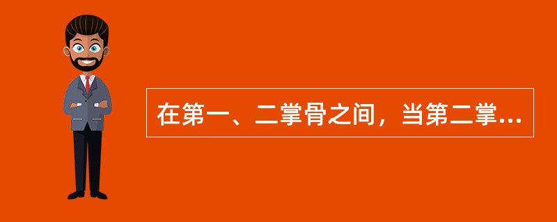 在第一、二掌骨之间，当第二掌骨中点桡侧是（）穴。