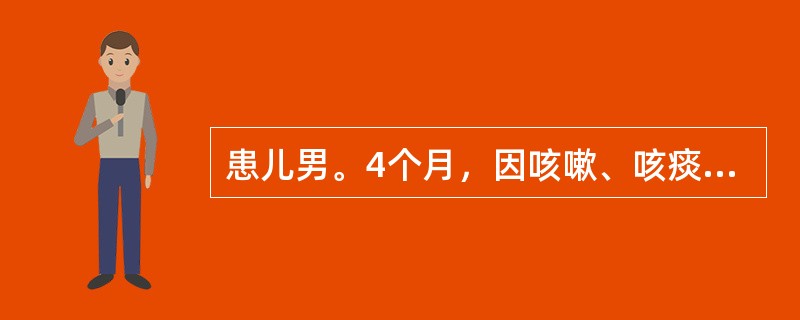 患儿男。4个月，因咳嗽、咳痰2天，气急伴发绀2h入院。体检：体温39．7℃、呼吸