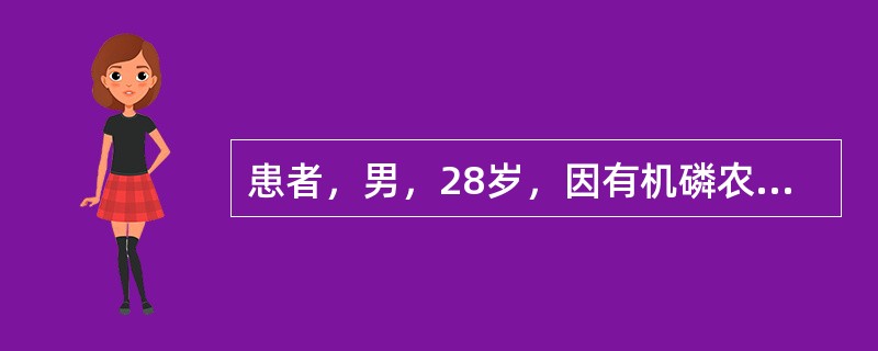 患者，男，28岁，因有机磷农药中毒，神志不清，躁动不安，急诊收住院。使用绷带约束