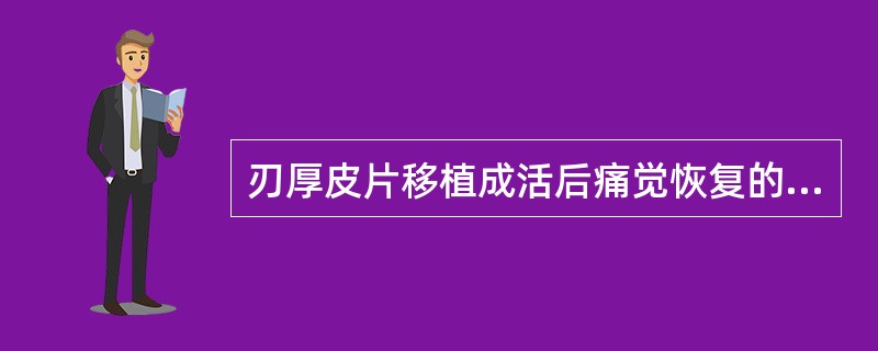 刃厚皮片移植成活后痛觉恢复的时间为()