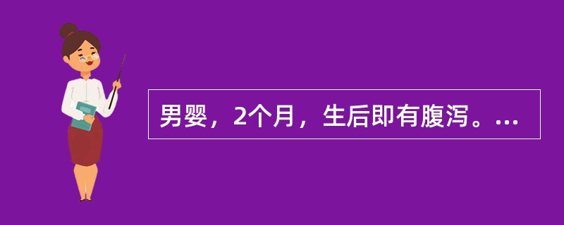 男婴，2个月，生后即有腹泻。为黄绿色稀便，3～5次／日，无黏液，无腥臭，体态虚胖