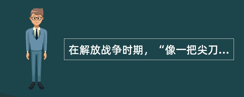 在解放战争时期，“像一把尖刀，插入敌人胸膛”的军事行动是（）