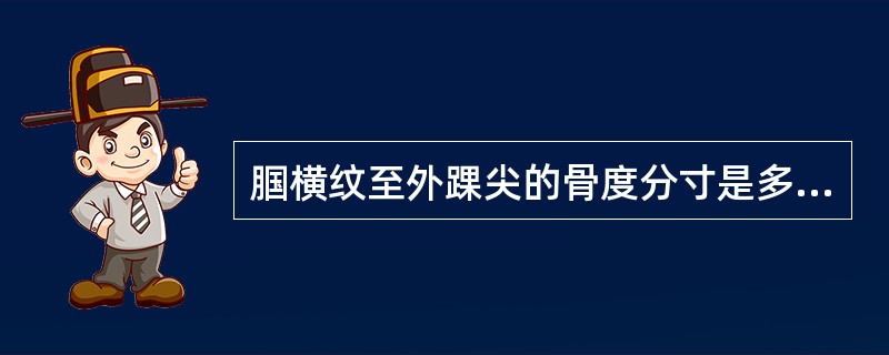 腘横纹至外踝尖的骨度分寸是多少（）