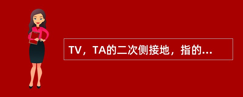 TV，TA的二次侧接地，指的是（）。