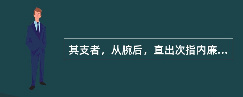 其支者，从腕后，直出次指内廉，出其端的经脉是（）