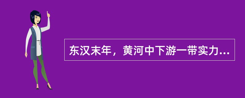 东汉末年，黄河中下游一带实力最强的封建军阀是（）