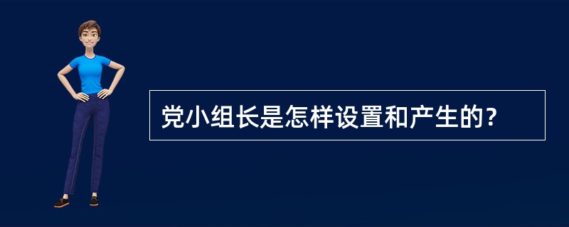 党小组长是怎样设置和产生的？