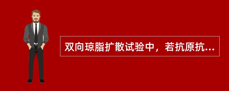 双向琼脂扩散试验中，若抗原抗体含量相同，但抗原的分子量比抗体大，则沉淀线应为（）