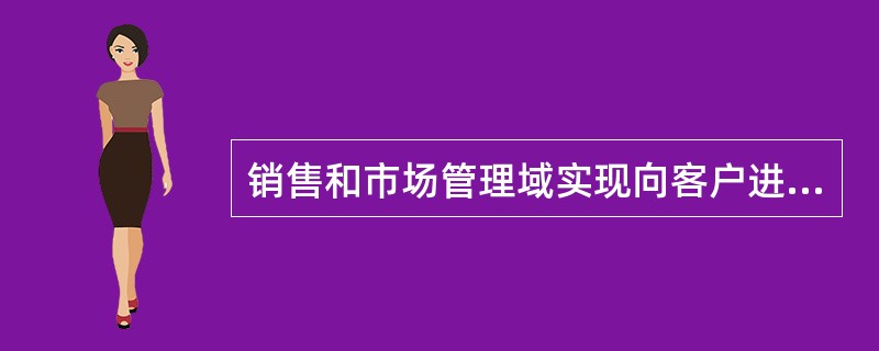 销售和市场管理域实现向客户进行销售和市场活动的功能。（）