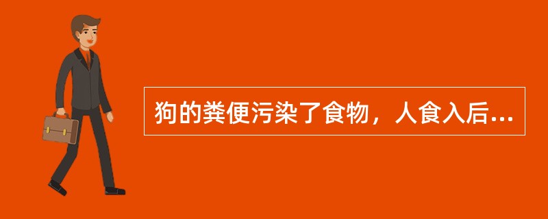 狗的粪便污染了食物，人食入后可感染（）