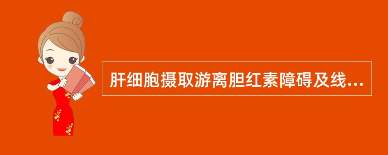 肝细胞摄取游离胆红素障碍及线粒体内葡萄糖醛酸转移酶不足