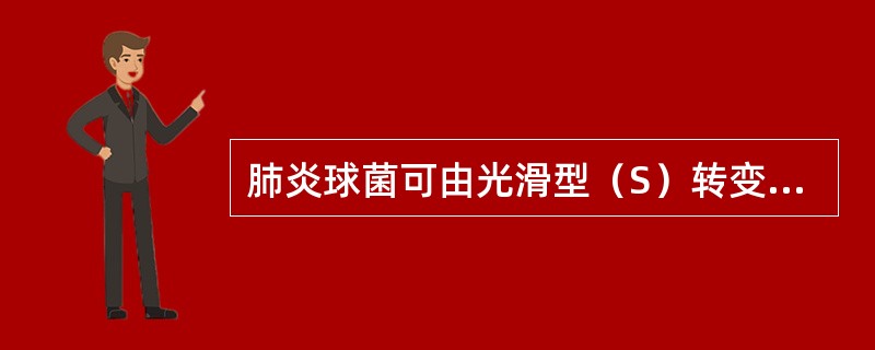 肺炎球菌可由光滑型（S）转变为粗糙型（R），主要是由于下列何种结构发生变化（）