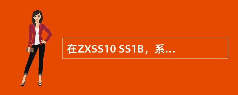 在ZXSS10 SS1B，系统交换接口板是（）.