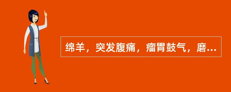 绵羊，突发腹痛，瘤胃鼓气，磨牙，痉挛，于发病后2小时死亡。病死羊尸体迅速腹部膨胀