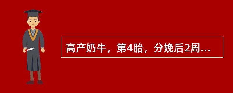 高产奶牛，第4胎，分娩后2周，食欲略有下降，可视粘膜苍白、黄染。排尿次数增加，但