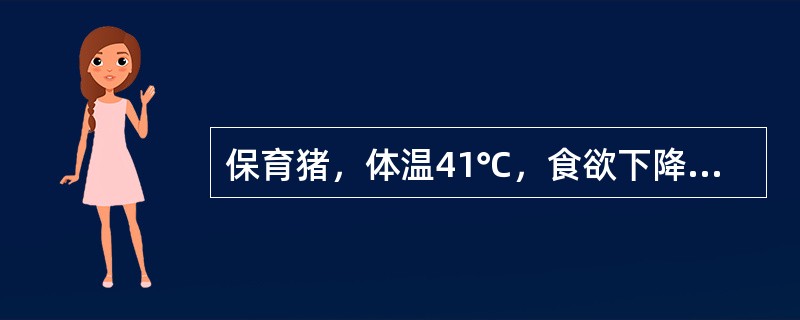 保育猪，体温41℃，食欲下降，精神沉郁，医学全.在线网.站.提供呕吐并伴有腹泻，