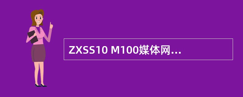 ZXSS10 M100媒体网关用户侧接口包括（）.