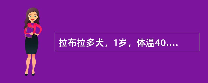 拉布拉多犬，1岁，体温40.3℃，心率142次/分钟，呼吸57次/分钟，食欲不振