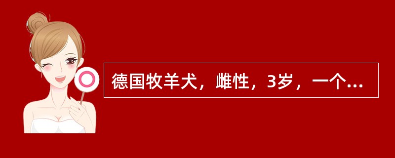 德国牧羊犬，雌性，3岁，一个半月前发情，但未配种。近日发现被毛粗乱，呕吐，嗜睡；