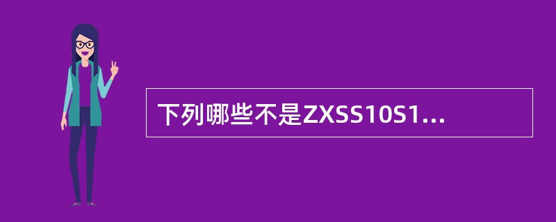 下列哪些不是ZXSS10S100信令网关的路由关键字数据的组成要素（）.