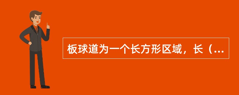 板球道为一个长方形区域，长（）米（22码），宽（）米。