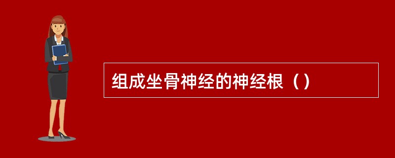 组成坐骨神经的神经根（）