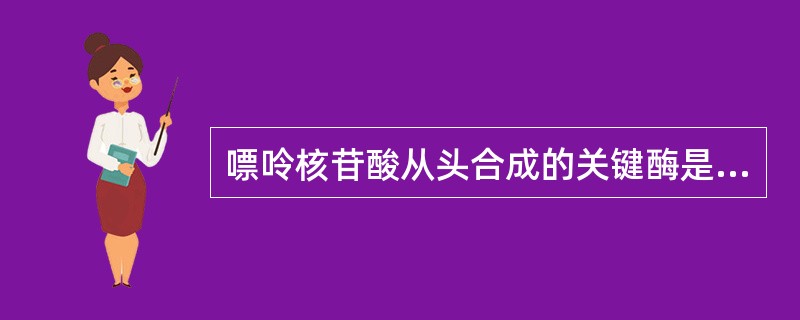 嘌呤核苷酸从头合成的关键酶是（）
