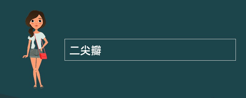 二尖瓣