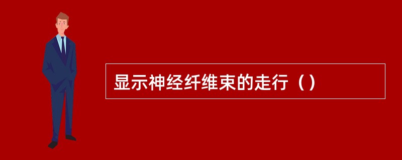 显示神经纤维束的走行（）