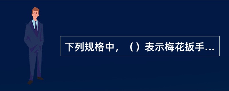 下列规格中，（）表示梅花扳手的技术规范。