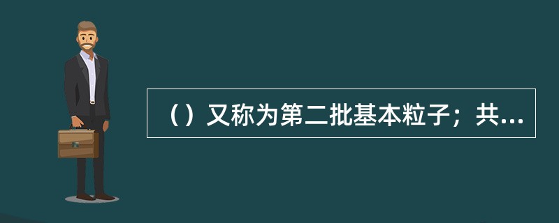 （）又称为第二批基本粒子；共振态粒子又被叫做第三代（）。