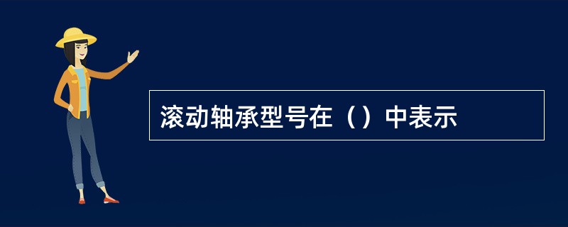 滚动轴承型号在（）中表示