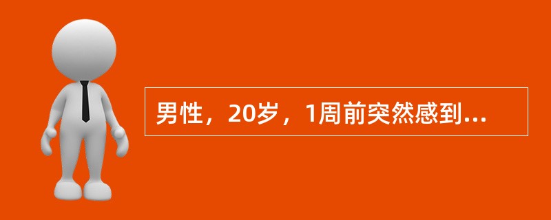 男性，20岁，1周前突然感到所处环境气氛不对，显紧张、害怕。称受到他人跟踪，听到