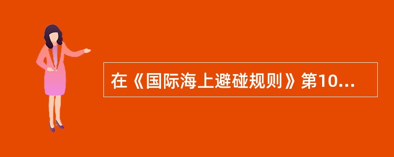 在《国际海上避碰规则》第10条“分道通航制”规则中所指的分道通航制水域是指：（）