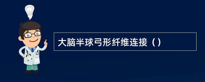 大脑半球弓形纤维连接（）