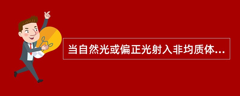 当自然光或偏正光射入非均质体后，一般都将产生（）。