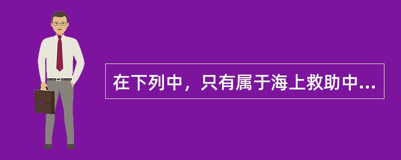 在下列中，只有属于海上救助中认为的标的（）。