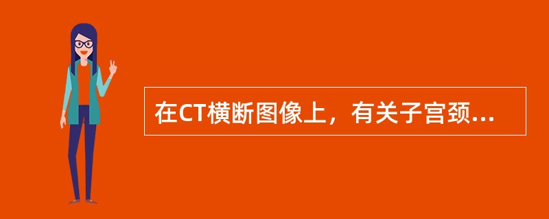 在CT横断图像上，有关子宫颈的解剖描述正确的有（）