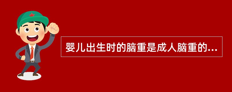 婴儿出生时的脑重是成人脑重的（）。