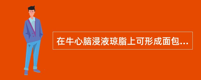 在牛心脑浸液琼脂上可形成面包屑营养菌落（）