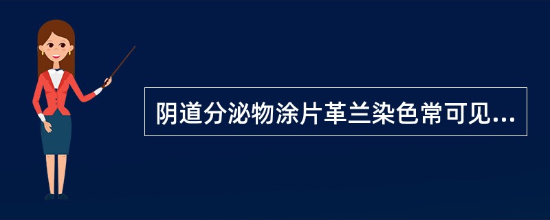 阴道分泌物涂片革兰染色常可见到的细菌有()